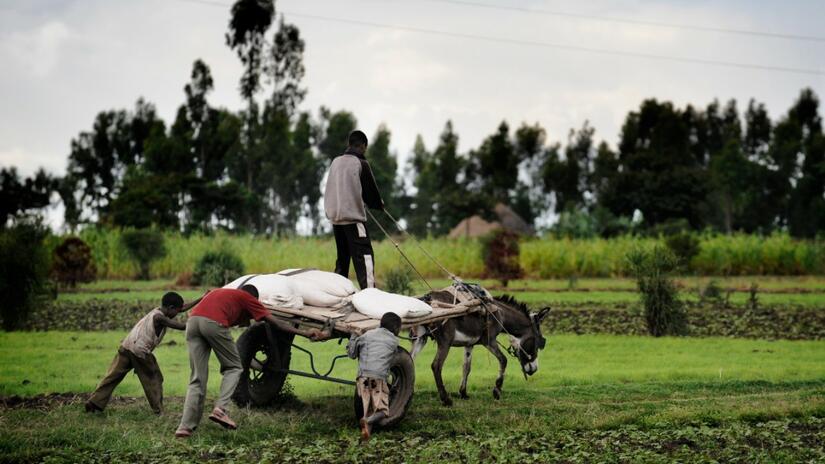 IFRC Plan And Budget 2021-2025 | IFRC